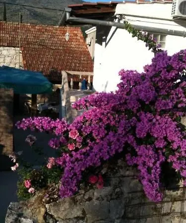 Διαμέρισμα Lepur Slano